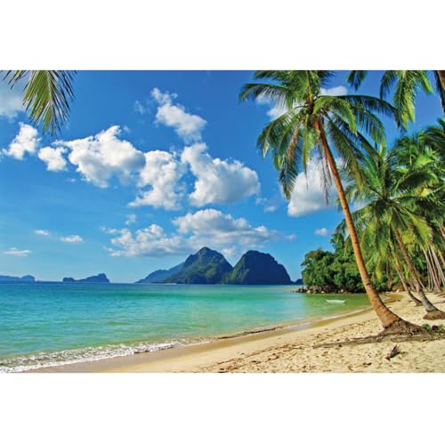 Renaiss 3.5x2.5m Sommer Meer Hintergrund Blau Himmel Strand Palme Natur Landschaft Fotografie Hintergrund Geburtstag Hochzeit Party Decor Reise Urlaub Foto Studio Requisiten Vinyl Renaiss 3.5x2.5m Sommer Meer Hintergrund Blau Himmel Strand Palme Natur Landschaft Fotografie Hintergrund Geburtstag Hochzeit Party Decor Reise Urlaub Foto Studio Requisiten Vinyl von Renaiss