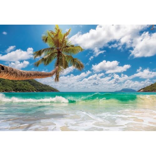 Renaiss 3.5x2.5m Tropisches Meer Kulisse Blauer Himmel Palme Sommer Natur Szenerie Fotografie Hintergrund Urlaub Geburtstag Hochzeit Party Dekor Portrait Shooting Fotostudio Requisiten Vinyl Renaiss 3.5x2.5m Tropisches Meer Kulisse Blauer Himmel Palme Sommer Natur Szenerie Fotografie Hintergrund Urlaub Geburtstag Hochzeit Party Dekor Portrait Shooting Fotostudio Requisiten Vinyl von Renaiss
