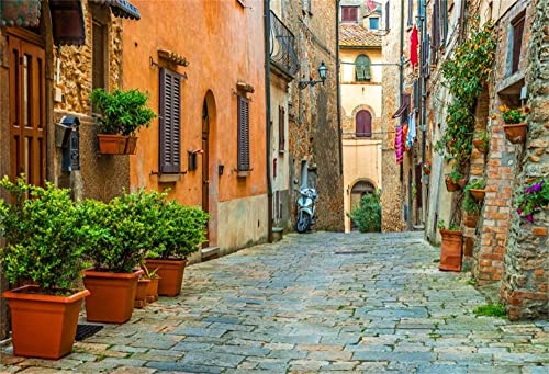 Renaiss 3x2.5m Italien Gasse Kulisse Europäische Gebäude Szene Fotografie Hintergrund Altstadt Enge Gassen Reise Urlaub Kulisse Kinder Erwachsene Portrait Schießen Vinyl Studio Requisiten von Renaiss
