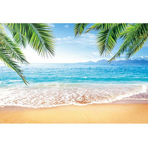 Renaiss 3x2.5m Sommer Strand Hintergrund Tropisch Hawaii Küste Palmenblätter Fotografie Hintergrund Natur Landschaft Hochzeit Geburtstag Party Dekoration Reise Photo Booth Requisiten Vinyl von Renaiss