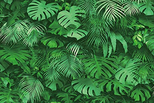 Renaiss 3x2m Dschungel Grüne Blätter Hintergrund Tropische Palmblätter Grüne Pflanze Blätter Fotografie Hintergrund Geburtstagsfeier Dekoration Baby Shower Banner Vinyl Studio Requisiten von Renaiss