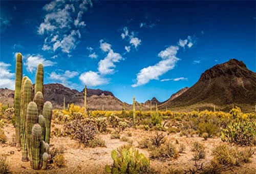 Renaiss 3x2m Wüste Saguaro Kaktus Foto Hintergrund Berg Natur Landschaft Fotografie Hintergrund Baby Erwachsene Junge Foto Video Shooting Wildnis Wandern Hintergrund Vinyl Studio Requisiten von Renaiss