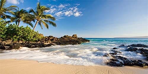 Renaiss 4.5x2.5m Sommer Ozean Strand Kulisse Hawaii Meer Insel Palmen Fotografie Hintergrund Tropische Reise Urlaub Flitterwochen Große Vinyl Fotokabine Shooting Studio Requisiten Renaiss 4.5x2.5m Sommer Ozean Strand Kulisse Hawaii Meer Insel Palmen Fotografie Hintergrund Tropische Reise Urlaub Flitterwochen Große Vinyl Fotokabine Shooting Studio Requisiten von Renaiss