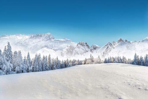 Renaiss 4.5x3m Winter Schnee Berge Kulisse Winter Wald Natur Landschaft Fotografie Hintergrund Kinder Erwachsene Porträt Schießen Foto Studio Requisiten Vinyl Tapete Renaiss 4.5x3m Winter Schnee Berge Kulisse Winter Wald Natur Landschaft Fotografie Hintergrund Kinder Erwachsene Porträt Schießen Foto Studio Requisiten Vinyl Tapete von Renaiss