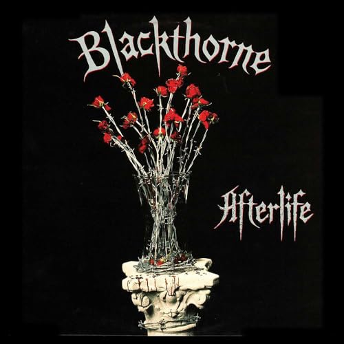 Afterlife [Vinyl LP] von Renaissance
