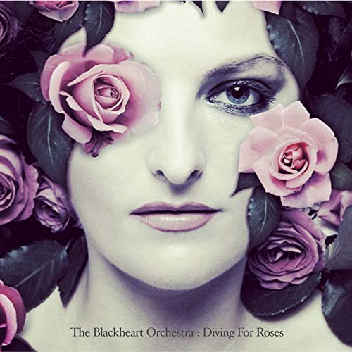 Diving For Roses [Vinyl LP] von Renaissance