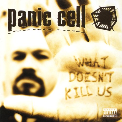 What Doesn T Kill Us von Renaissance