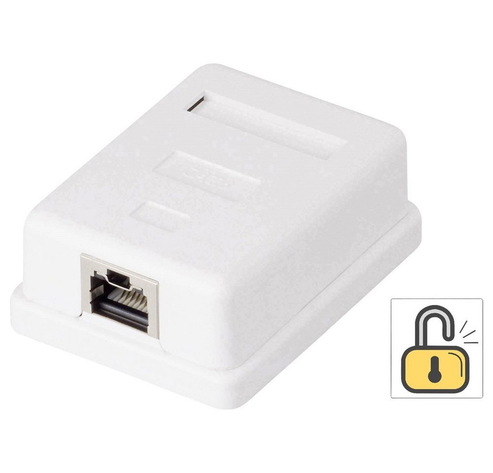 Renkforce 1 Port Netzwerkdose Aufputz CAT 6 Renkforce KSV-ND10 Weiß RF-4473849 Netzwerk-Adapter von Renkforce