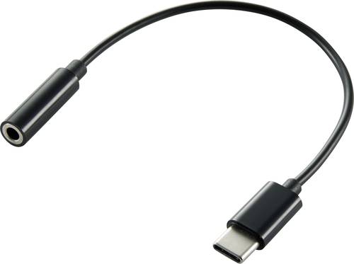 Renkforce Audio Adapterkabel [1x USB 3.2 Gen 1 Stecker C (USB 3.0) - 1x Klinkenbuchse 3.5 mm] von Renkforce