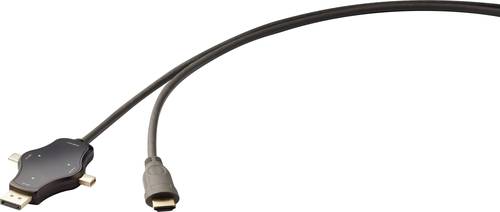 Renkforce RF-3909364 Cable-Sharing Verbindungskabel [3x DisplayPort Stecker, Mini-DisplayPort Stecke von Renkforce