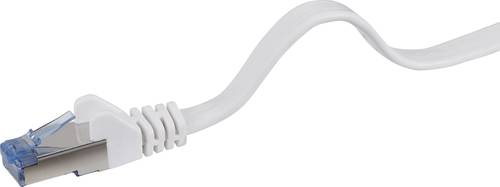 Renkforce RF-4149837 RJ45 Netzwerkkabel, Patchkabel CAT 6a U/FTP 0.50m Grau hochflexibel, mit Rastna von Renkforce