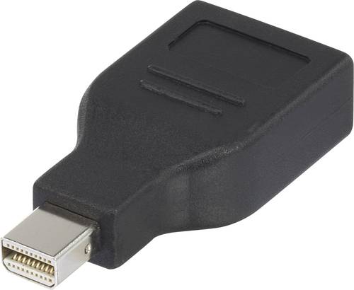 Renkforce RF-4174572 DisplayPort Adapter [1x Mini-DisplayPort Stecker - 1x DisplayPort Buchse] Schwa von Renkforce