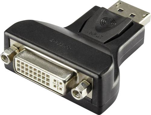 Renkforce RF-4212237 DisplayPort / DVI Adapter [1x DisplayPort Stecker - 1x DVI-Buchse 24+5pol.] Sch von Renkforce