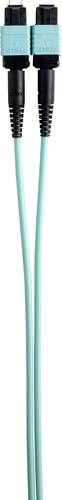 Renkforce RF-4299462 Glasfaser LWL Anschlusskabel [1x MPO Stecker - 1x MPO Buchse] 50/125 µ Multimo von Renkforce