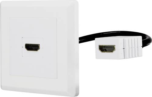 Renkforce RF-4538136 HDMI Adapter [1x HDMI-Buchse - 1x HDMI-Buchse] Weiß vergoldete Steckkontakte 1 von Renkforce