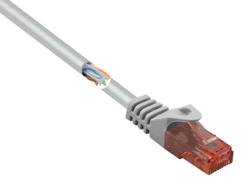 Renkforce RF-5043810 RJ45 Netzwerkkabel, Patchkabel CAT 6 U/UTP 10.00m Grau mit Rastnasenschutz, Hal von Renkforce