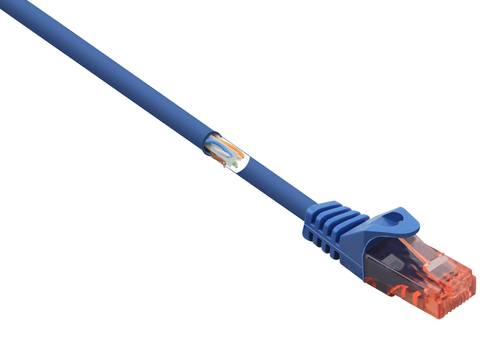Renkforce RF-5043878 RJ45 Netzwerkkabel, Patchkabel CAT 6 U/UTP 0.25m Blau mit Rastnasenschutz, Halo von Renkforce