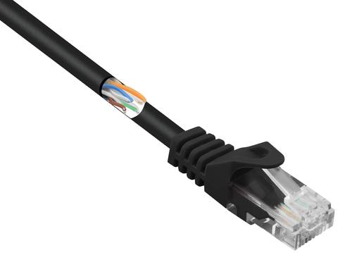 Renkforce RF-5044016 RJ45 Netzwerkkabel, Patchkabel CAT 5e U/UTP 10.00m Schwarz mit Rastnasenschutz von Renkforce