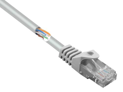Renkforce RF-5047502 RJ45 Netzwerkkabel, Patchkabel CAT 5e U/UTP 5.00m Grau mit Rastnasenschutz von Renkforce