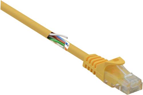 Renkforce RF-5224648 RJ45 Netzwerkkabel, Patchkabel CAT 5e U/UTP 0.15m Gelb mit Rastnasenschutz, Hal von Renkforce