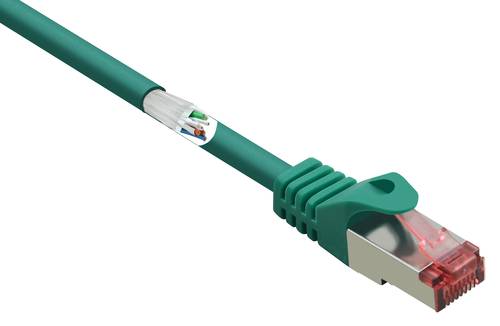 Renkforce RF-5372558 RJ45 Netzwerkkabel, Patchkabel CAT 6 S/FTP 3.00m Grün mit Rastnasenschutz, ver von Renkforce