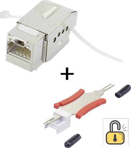 Renkforce RJ45-Einbaumodul mit Verriegelungsfunktion / inkl. Entriegelungswerkzeug Keystone CAT 6a K von Renkforce