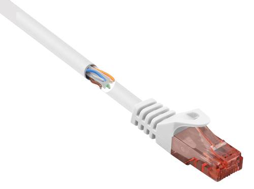 Renkforce RJ45 Netzwerkkabel, Patchkabel CAT 6 U/UTP 0.50m Weiß mit Rastnasenschutz, Halogenfrei von Renkforce