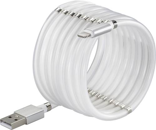 Renkforce USB-Kabel USB 2.0 USB-C® Stecker, Apple Lightning Stecker 2.00m Weiß TO-6897015 von Renkforce