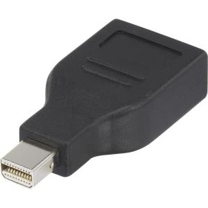 renkforce DisplayPort Adapter [1x Mini-DisplayPort Stecker => 1x DisplayPort Buchse] Schwarz vergoldete Steckkontakte renkforce von Renkforce