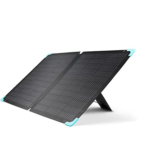 Renogy Faltbares Solarpanel Solarmodul 220W für Tragbare Powerstation, Wasserdicht mit Verstellbaren Ständern, für Wohnmobil, Wohnwagen, Netzunabhängig von Renogy