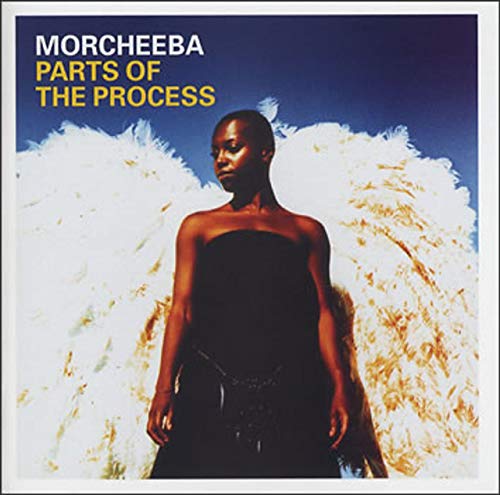 Parts of the Process - Best Of - CD & DVD Parts of the Process - Best Of - CD & DVD von Reprise