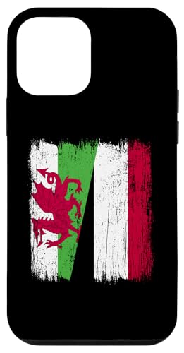 Wales Jemen Halbflagge walisische jemenitische Vorfahren Hülle für iPhone 12 mini von Republic Of Yemen Flag Designs Proud Yemeni Roots