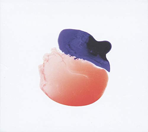 Eidolon [Vinyl LP] von Requiem for a Twister
