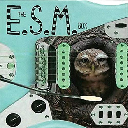 The Experimental Surf Music Box (8 CDs+Infos) von RER