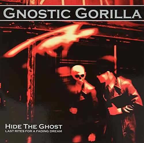 Hide The Ghost [Vinyl LP] von Resurrection