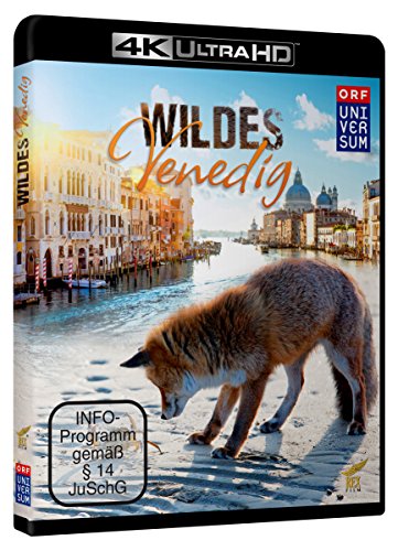 Wildes Venedig (4K Ultra-HD) [Blu-ray] von Rex Film / Cargo