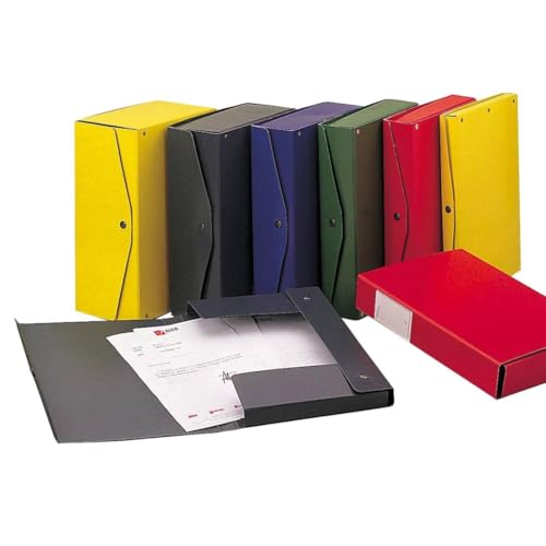 Rexel 00023414 Project 6 Archivbox Rücken, 6 cm, grün von King Mec