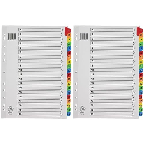 Rexel Mylar 1-20-Register (DIN A4, Verstärkte Taben) weiß (Packung mit 2) von Rexel