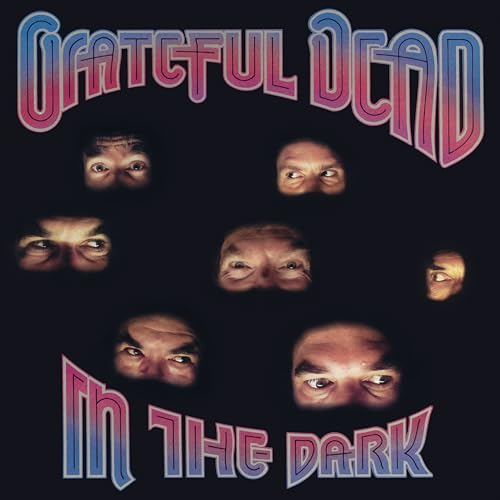 In the Dark [Vinyl LP] von Rhino