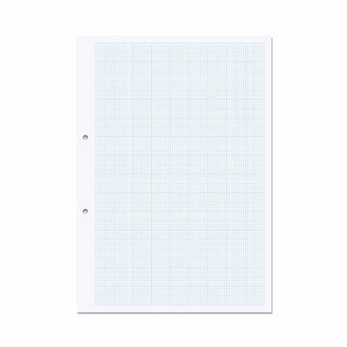 RHINO Stationery A4 Millimeterpapier | 500 Blatt | Loseblattpapier | karierte Lineatur | vorgestanzt | Schulungsstandard Übungspapier von Rhino