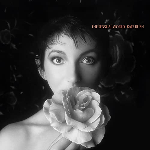 The Sensual World (2018 Remaster) [Vinyl LP] von Rhino