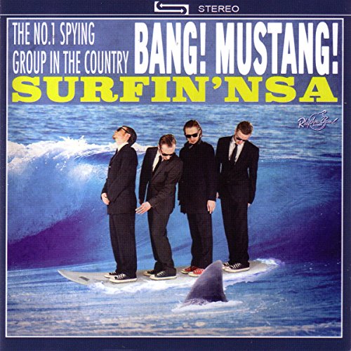 Surfin' Nsa (Lim.ed.) [Vinyl LP] von Rhythm Bomb Records (Broken Silence)