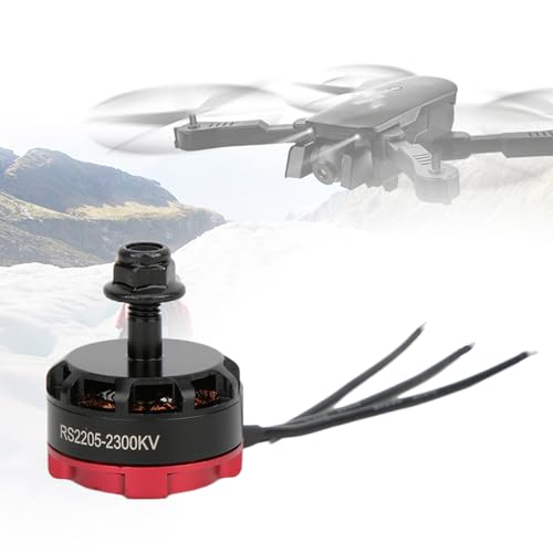 Hohe Motorische Hochleistung für Bürstener Motor für FPV Racing Multicopter, RC -Zubehör Leichte Fernbedienung CCW Motor (Rot) von RiToEasysports
