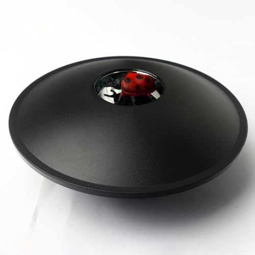 Holografischer 3D-Projektor für sofortige Illusion, optische Projektion, Hologramm, Bildersteller (Marienkäfer) von RichVibe
