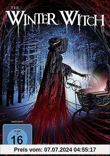 The Winter Witch von Richard John Taylor