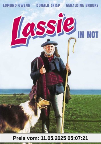 Lassie in Not von Richard Thorpe