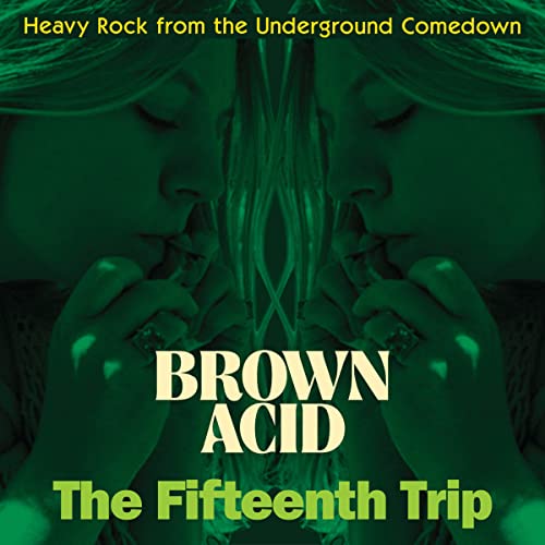 Brown Acid - The Fifteenth Trip (Various Artists) von Riding Easy