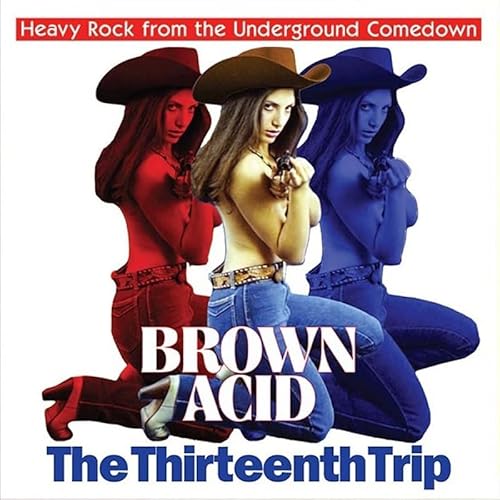 Brown Acid - The Thirteenth Trip / Various von Riding Easy