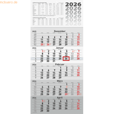 Rido 5-Monatskalender Wandkalender 30x63cm einteilig 2026 von Rido