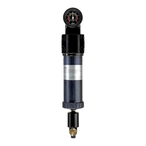 RIEGLER 101564-430.2309 Mikrofilter mit Differenzdruckmanometer, 0,01 µm, G 1, 1Stk von Riegler